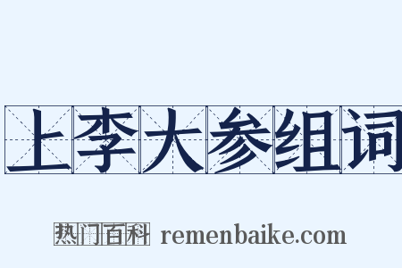 上李大参组词是什么意思的图片